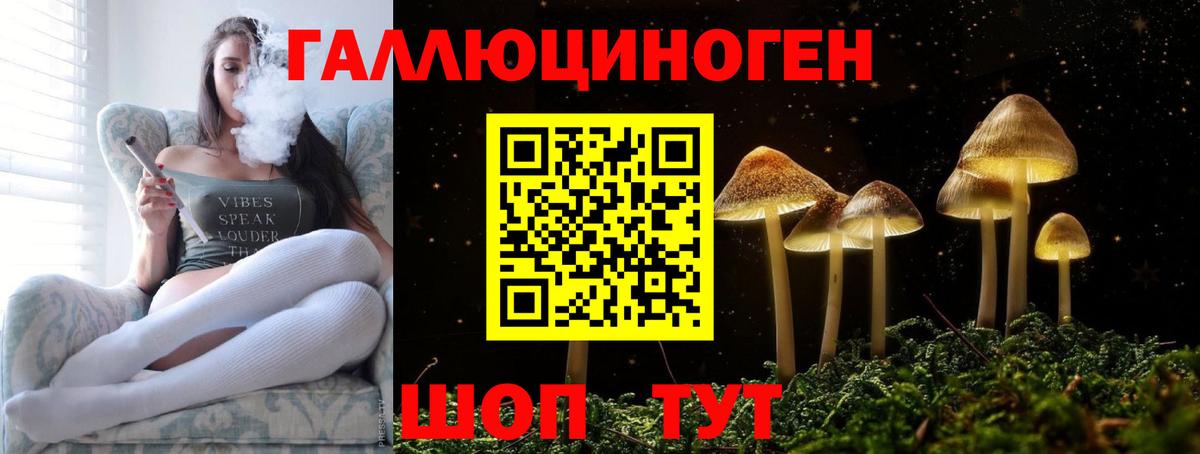Псилоцибиновые грибы MAGIC MUSHROOMS Саяногорск